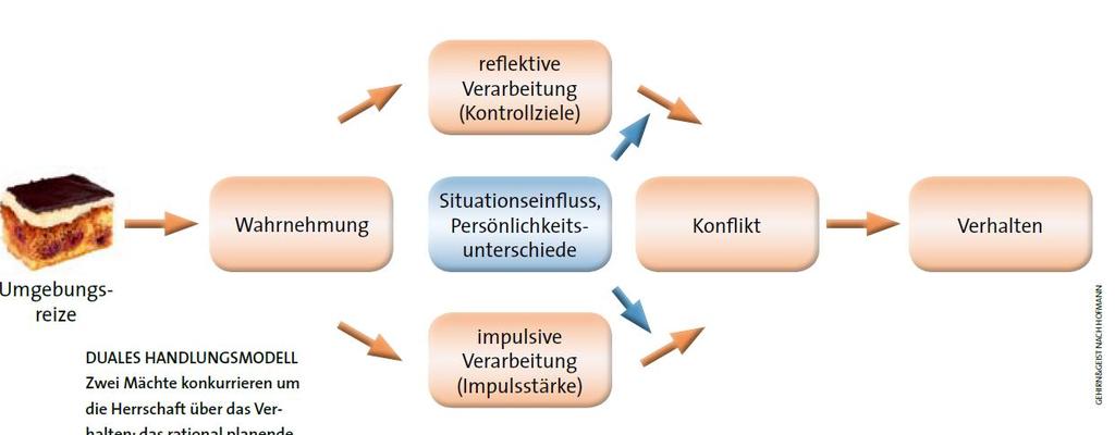 Zwei-Prozess-Modell der Handlungsregulation (Hofmann, Friese & Strack, 2009) Inferenz-, Entscheidungs- und Planungsprozesse Benötigen kognitive Ressourcen (Arbeitsgedächtniskapazität) Flexibel