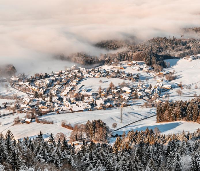 Logiernächte und Auskunftsstelle Morgenstimmung beim Ritterhaus Bubikon Logiernächte Die Logiernächte der Übernachtungsbetriebe im Zürcher Oberland sind 2017 gegen über dem Vorjahr um +3.