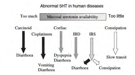Serotonin (5HT) und Gastrointestinale Erkrankungen
