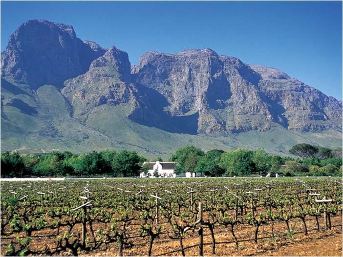 (Constellation), South Africa Die weltweite Weinproduktion 50