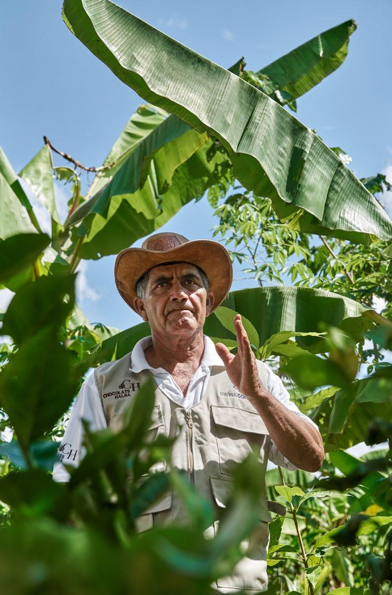 Bessere Böden, gesündere Kakaobäume und höhere Biodiversität: Justino Andrés Pérez Sanines steckt die anderen