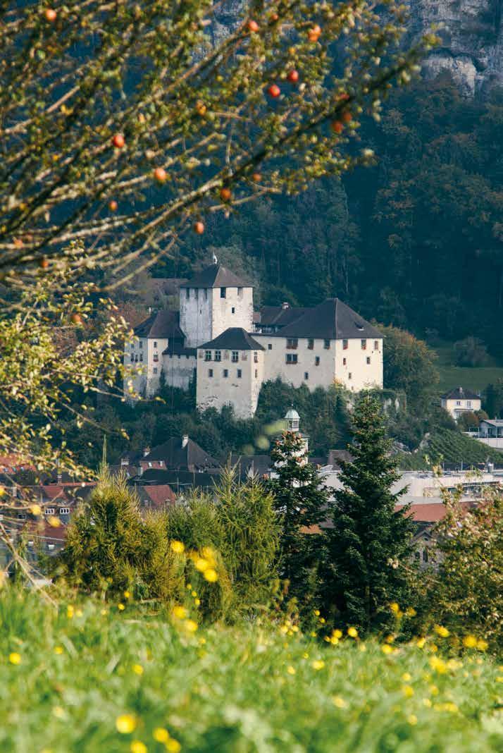 11 Führungen in Museen Schattenburgmuseum Erbaut wurde die Schattenburg vor rund 750 Jahren. Ihre Rettung verdankt die Burg dem Heimatpflege- und Museumsverein Feldkirch.