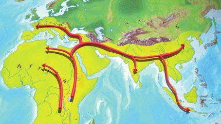 Auch die Ausbreitung des Homo sapiens und seiner nächsten Verwandten von Afrika aus wird kurz gezeigt: In Europa hatte sich neben dem Homo sapiens vor allem der Neandertaler ausgebreitet.