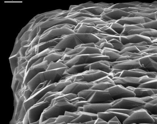 Schleifwerkzeuge Kleinste Körnung bis < 1 µm Duktiles Schleifen
