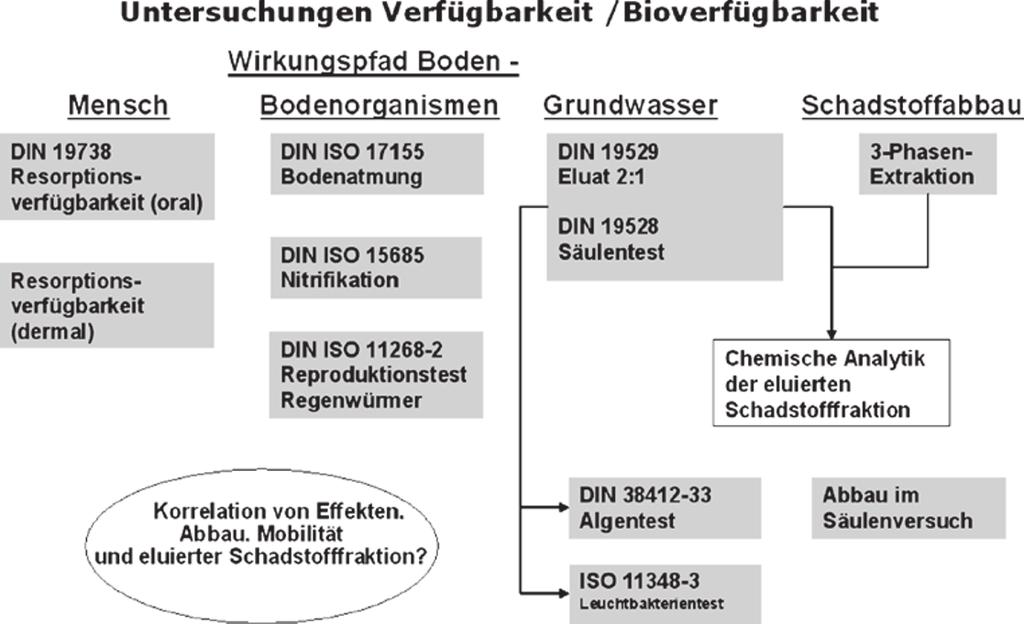 65 Abb. 2 Untersuchungen zur Bioverfügbarkeit/Verfügbarkeit von Schadstoffen (Nestler et al.