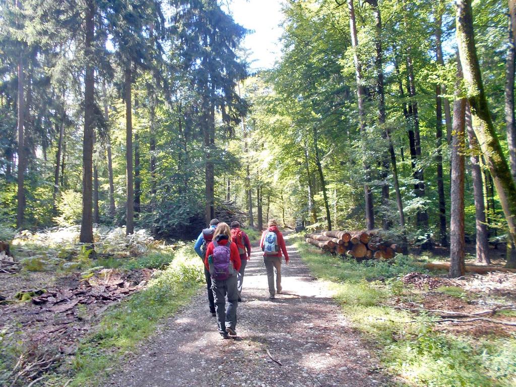 Inzwischen hat sich die Sonne voll durchgesetzt: Wandergenuss