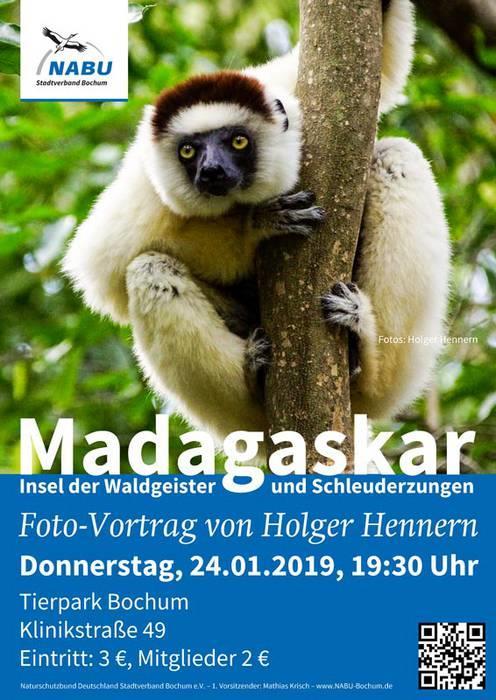 NABU-Vortrag: Madagaskar - die Insel der Waldgeister und Schleuderzungen D er NABU Bochum und der Tierpark + Fossilium Bochum setzen ihre gemeinsame Vortragsreihe rund um die heimische und exotische