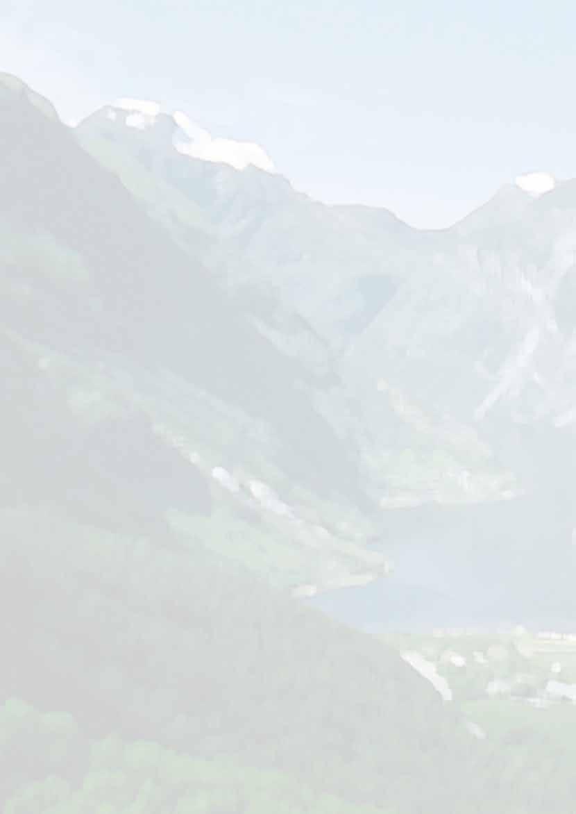 Reisevariante D (19 Tage) Bushinreise bis Bergen Schiffsreise Bergen - Kirkenes - Svolvær Busrückreise ab Lofoten entlang der Helgelandsküste mit Besuch der Vogelinsel Lovund Reisetermin 2013: 10.07.