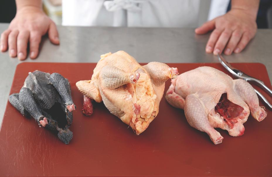 Geflügel- und Kaninchenfleisch 17 GEFLÜGELFLEISCH GENAUER BETRACHTET Geflügel gehört zum so genannten Weißfleisch und unterscheidet sich damit deutlich vom Rotfleisch, wozu z. B. Rind, Pferd, Schwein, Schaf, Ziege und Kaninchen gehören.