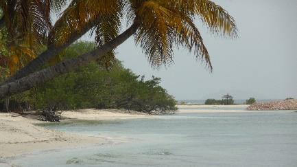 Dann eben Nass zum Apéro. Charlstown Bay Canouan: Auf Canouan werden wir in der Charlstown Bay ganz freundlich an der Boje empfangen.