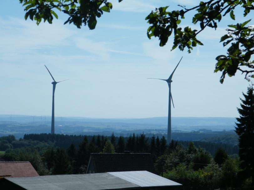 Rahmenbedingungen Windenergienutzung - Artenschutz in Hessen Konzept Avifauna und Windenergienutzung Vorgehensweise und Ergebnisse Vorgehensweise Schwerpunkträume