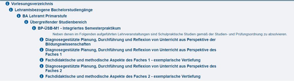 ABLAUF UND AUFBAU Begleitseminare Beispiel für die Darstellung der