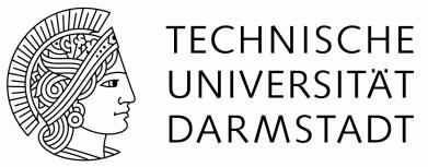 Die Projektfamilie Technische Universität Darmstadt (TU D) FH KI Seit 1998 FB M, seit 2011 für gesamte TU D emb, KIVA 2.800TN/a (verpflichtend) Seit 2006 FB M, seit 2015 FB IuE starting!