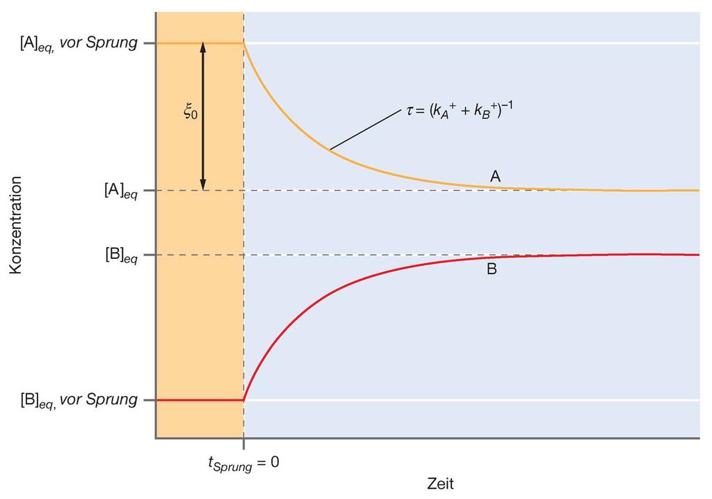 Beispiel eines Temperatursprungversuchs einer Reaktion, bei der die Geschwindigkeitsgesetze der Vorwärts- und der Rückreaktion erster Ordnung sind.