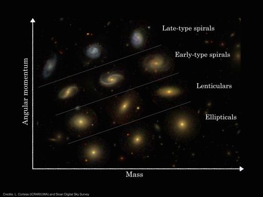 Physikalische Eigenschaften Hubble-Klassen sind bilden keine Entwicklungssequenz sondern hängen von der Umgebung ab Drehimpuls ist niedrig in Ellipsen und hoch in Spiralen Massereiche Galaxien sind