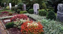 Grabstätten für die Bestattung von Särgen Erdwahlgrab Das Erdwahlgrab gehört zu den ältesten Grabarten auf unseren Friedhöfen.