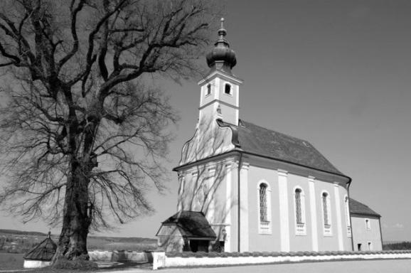 HALBTAGESAUSFLUG NACH MARIA MÜHLBERG BEI WAGING AM SEE Anfang des 18. Jahrhunderts wurde auf dem Mühlberg bei Waging eine Wallfahrtskirche zu Ehren der Gottesmutter Maria errichtet.