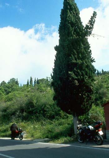 Dritte italienische Vorspeise, die Metallifiere Bereits um 8.50 wurden die beiden Bikes gesattelt. Die Sonne kämpfte sich durch Frühnebel.