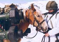 Die Gebirgstruppe umfasst Spezialisten für Einsätze im Hochgebirge.