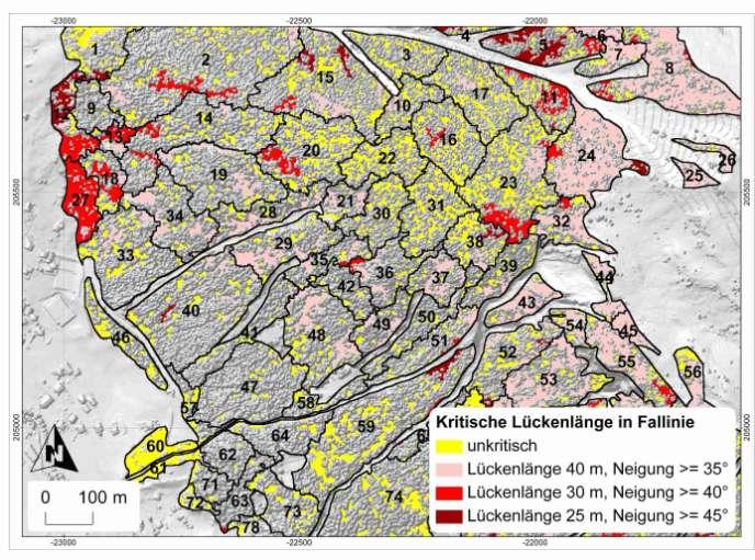 Waldlücken GIS-basierte Analyse von Neigungskarte & Waldmaske z.b. Ausweisung potentieller Waldlawinen-Anrissgebiete ( Maier, B.