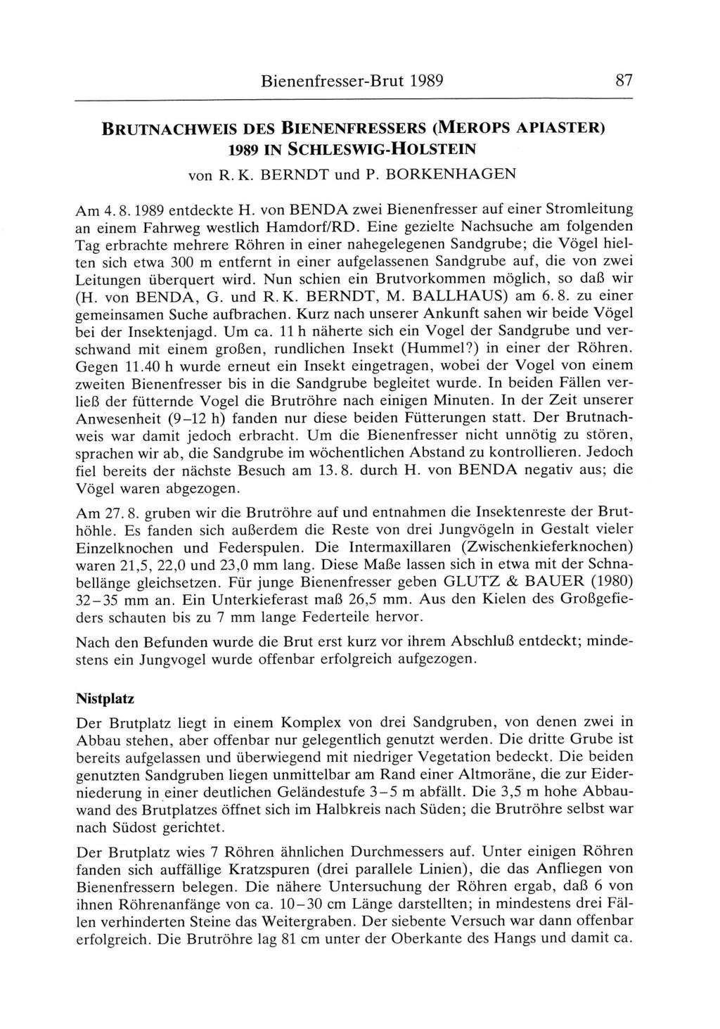 Bienenfresser-Brut 1989 87 BRUTNACHWEIS DES BIENENFRESSERS (MEROPS APIASTER) 1989 IN SCHLESWIG-HOLSTEIN von R. K. BERNDT und P. BORKENHAGEN Am 4. 8. 1989 entdeckte H.