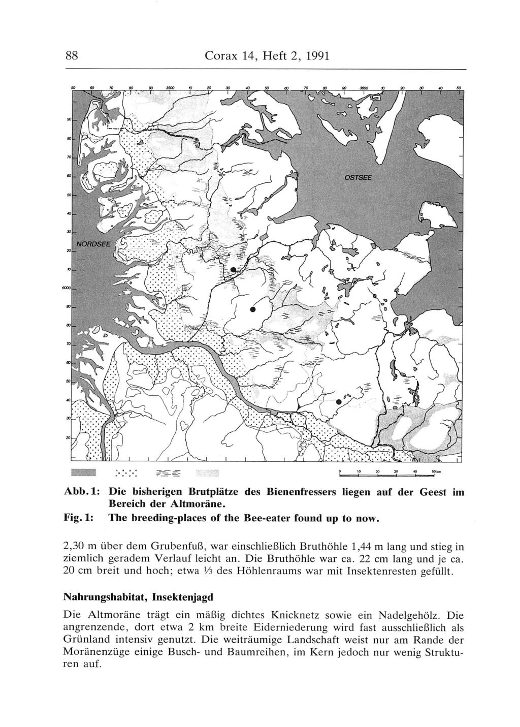 88 Corax 14, Heft 2, 1991 Abb.1: Die bisherigen Brutplätze des Bienenfressers liegen auf der Geest im Bereich der Altmoräne. Fig.1: The breeding-places of the Bee-eater found up to now.