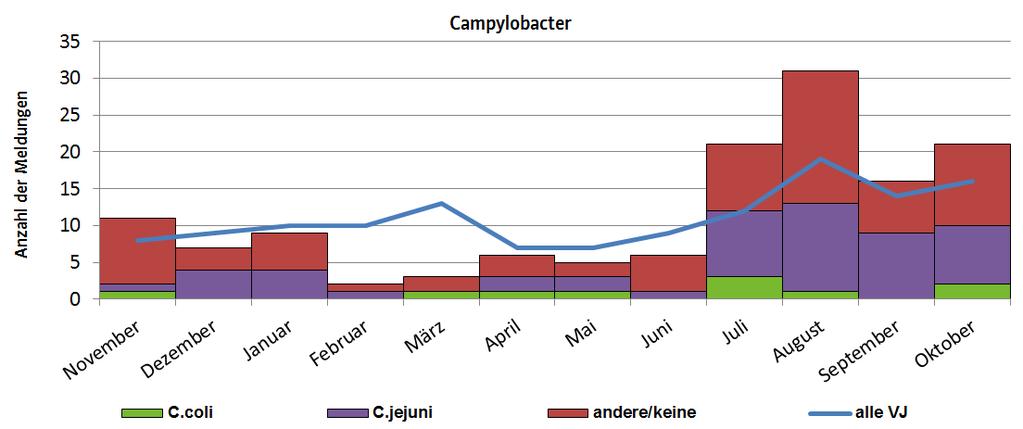 Abbildung 1 Gemeldete Campylobacter-Infektionen nach Erregertypen in bis 31.10.