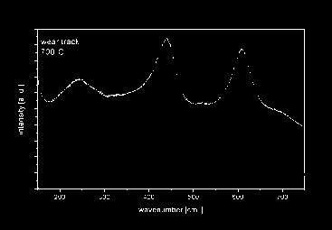 RAMAN Spektroskopie Reibspur