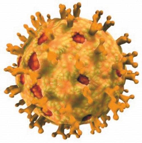 Rotaviren Rotaviren verursachen in Deutschland jährlich über 250.000 Krankheitsfälle bei Kindern unter 5 Jahren. 22.