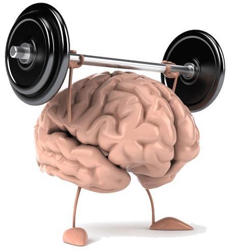 Was trainiert das Gehirn?