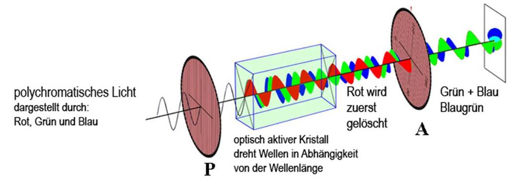 Linear polarisiertes Licht - Optische Aktivität Gekreuzte Polarisatoren