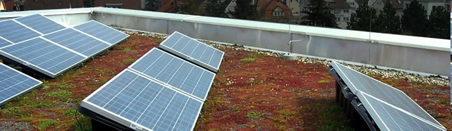 Das EnergieGrünDach Gründach-Solardach kombiniert Chance Grosses Potential dank Synergien Der goldenen Weg Wasserrückhaltung (Klimawirkung), Energienutzung und Biodiversitätsförderung zu kombinieren