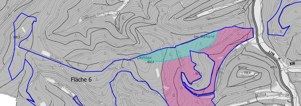 Artenschutzprüfung zur Darstellung von drei Windkonzentrationszonen im FNP Bad Laasphe 48 achterlich festgestellt wurde, dass sich im zu entnehmendem Baum kein Fledermausquartier befindet.