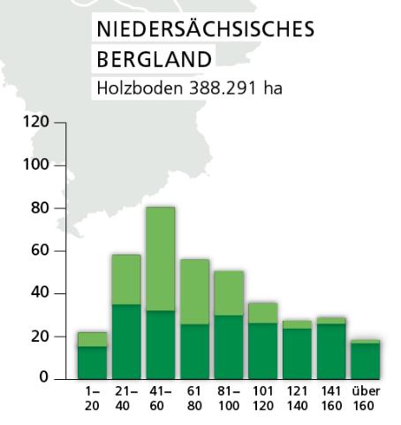 Schadensschwerpunkte im