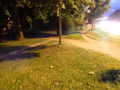 Poller) Bushaltestelle Wiener Allee Trampelpfade weisen auf fehlende Fußwege hin