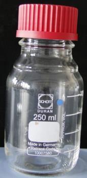 1 Bioindikator Kunststoffröhrchen 50 ml (steril)