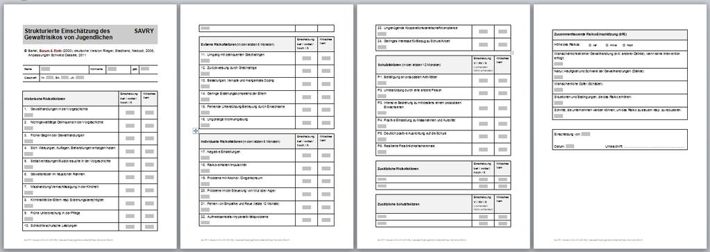 SAVRY (Structured Assessment of Violence Risk in Youth) Entwicklung: Randy