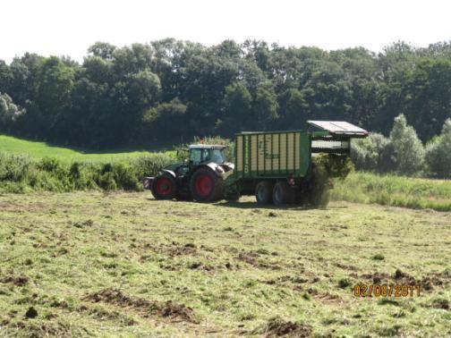 vorbereitenden Maßnahmen sein (Bodenumbruch) um die Konkurrenzkraft der Ausgangsvegetation zu brechen Je