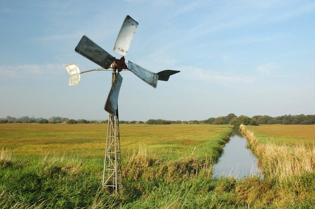 Lebensraum-Optimierung Windschöpfwerk