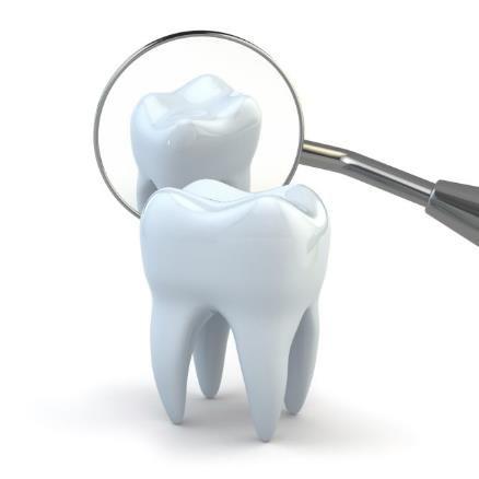 optimale Menge an Zahncreme