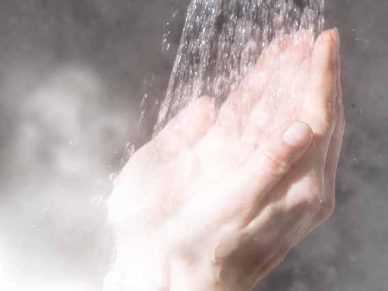Hygiene vor dem Melken Pflege und Sauberkeit für Ihre Hände Lösungen zur Prüfung der Milchqualität Hand Cleaner Regular Grüne, milde Handseife