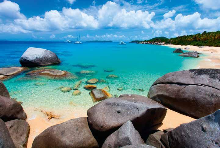 Faszinierende Schnorchelspots Die Tobago Cays und St.