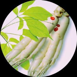 Koreanischer Roter Ginseng hilfreich bei Kälteüberempfindlichkeit Koreanischer Roter Ginseng (KRG) verbesserte die Symptome einer Kälteüberempfindlichkeit der Extremitäten (Cold Hypersensitivity in