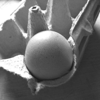 Kurs Angebot wie ein Ei dem anderen??? Nein, ganz unterschiedliche Eier sollen es werden, wenn wir die Eier aus Ton oder Gips bunt bemalen.