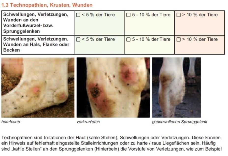 Beratungstool Tierwohlcheck Quelle: Leitfaden Tierwohl, Hrsg.