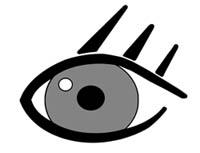 Copyright und Rechtshinweis EVT Eye Vision Technology * 2013 EVT Alle Rechte vorbehalten.