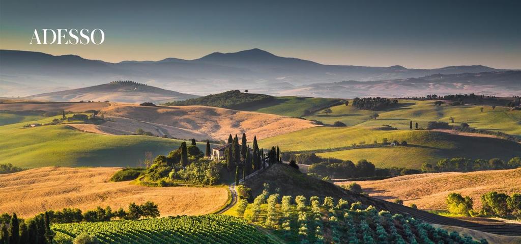 Toskana La dolce Vita mit allen Sinnen genießen unsplash Toskanische Lebensart, die Schönheit der Städte und genussvolles Lernen erleben Sie mit allen Sinnen den Reichtum der italienischen Kultur.