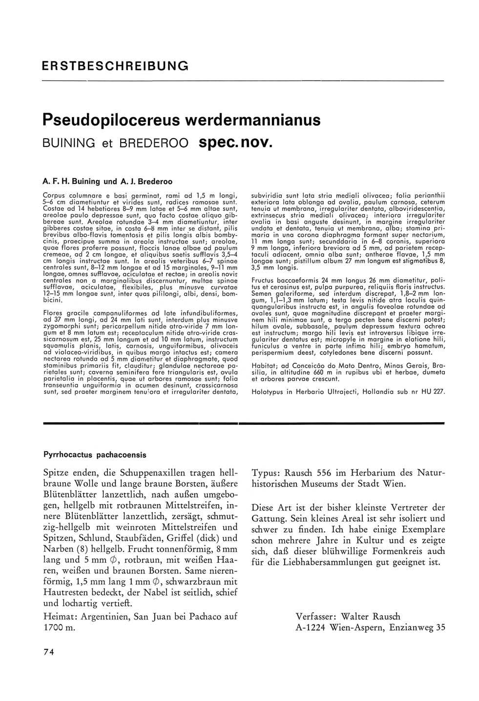 ERSTBESCHREIBUNG Pseudopilocereus werdermannianus BUINING et BREDEROO SpeC.nOV. A. F. H. Buining und A. J.