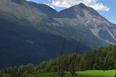 Der Naturpark Biosfera Val Müstair Heute ist das Val Müstair ein Regionaler Naturpark von nationaler Bedeutung und bildet zusammen mit dem Schweizerischen Nationalpark und Teilen der Gemeinde Scuol