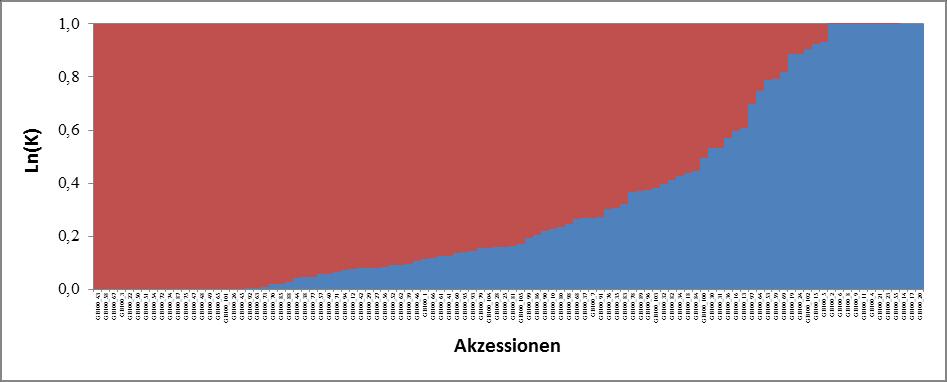 Mit dem Software-Programm STRUCTURE (Pritchard et al. 2000) werden die Akzessionen basierend auf den Allelfrequenzen der 4.867 SNP-Marker einer vorgegebenen Anzahl von K-Untergruppen zugeordnet.